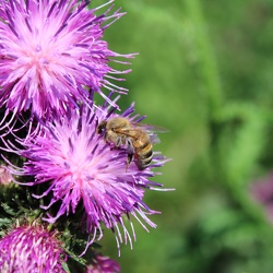 Ein Tag - ein Foto (oder auch zwei oder drei)